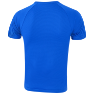 Футболка тренировочная JOGEL Camp Traning Tee, синий - downloaded from prime-sport.ru