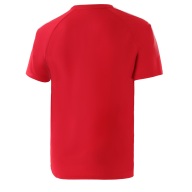 Футболка тренировочная JOGEL Camp Traning Tee, красный - downloaded from prime-sport.ru