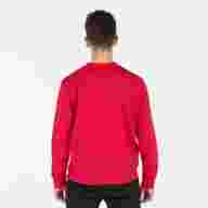 Свитшот JOMA CHAMELEON Красный - Свитшот JOMA CHAMELEON Красный