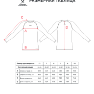 Футболка компрессионная с длинным рукавом JOGEL PerFormDRY Baselayer Tee LS 2, зеленый - downloaded from prime-sport.ru