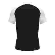 Футболка игровая JOMA  ACADEMY IV 101968.102 СвСк (04-S) - Футболка игровая JOMA  ACADEMY IV 101968.102 СвСк (04-S)