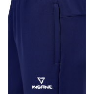 Брюки парадные INSANE RBF, синий - Брюки парадные INSANE RBF, синий