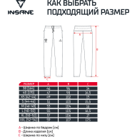 Брюки парадные INSANE RBF, синий - Брюки парадные INSANE RBF, синий