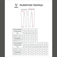 Тайтсы компрессионные JOGEL CAMP PerFormDRY Baselayer Tights, голубой - Тайтсы компрессионные JOGEL CAMP PerFormDRY Baselayer Tights, голубой