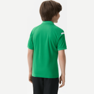 Поло JOGEL CAMP 2 Poly Polo, зеленый/белый - Поло JOGEL CAMP 2 Poly Polo, зеленый/белый