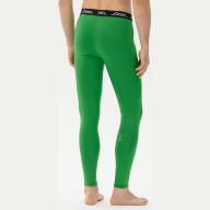 Тайтсы компрессионные JOGEL CAMP PerFormDRY Baselayer Tights, зеленый - Тайтсы компрессионные JOGEL CAMP PerFormDRY Baselayer Tights, зеленый